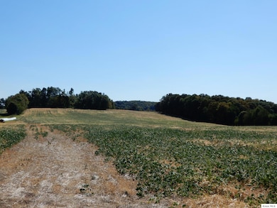 17970 Scott Rd, Monroe Township, OH 43050 - photo 3