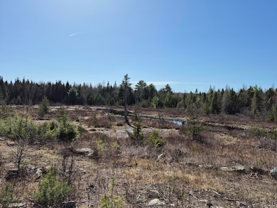 1 Land View