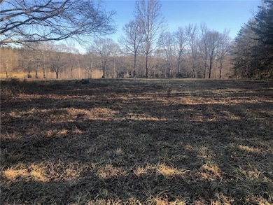 00 Highway 184, Iva, SC 29655 - photo 3