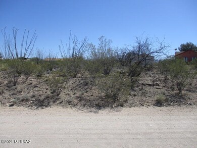 3040 E Darlene Dr unit 335, Vail, AZ 85641 - photo 4