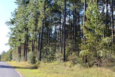 3.9 Basin-Central Rd, Lucedale, MS 39452 - photo 7