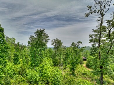 LOT 13 Hidden Acres, Blue Ridge, GA 30513 - photo 6