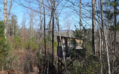 Additional View
