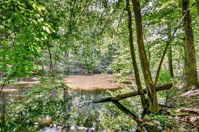 Cul-de sac lots back up to and cross over pond.