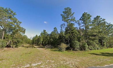 0 Maryland Ave unit 25726265, Hawthorne, FL 32640 - photo 2