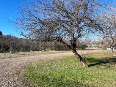 Orchard