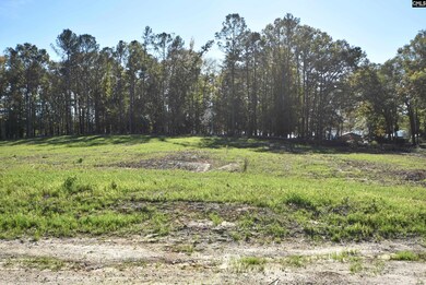 Lot 4 Gold Nugget Point, Prosperity, SC 29127 - photo 5