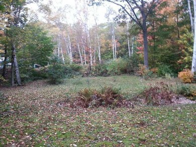 Yard/Garden.