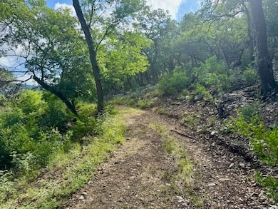 0 John Buchanan Rd unit 24226662, Leakey, TX 78873 - photo 5