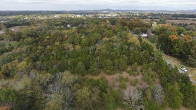 0 Sulphur Springs Rd unit RTC2349526, Shelbyville, TN 37160 - photo 7