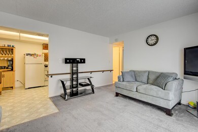 3305 Kirchoff Rd unit 1B, Rolling Meadows, IL 60008 - photo 5