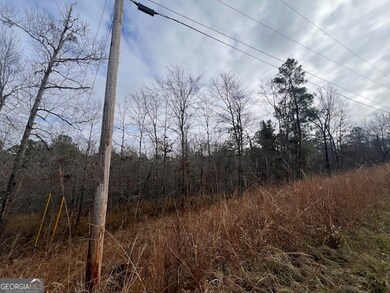 0 Sunshine Dr unit 10654666, Sparta, GA 31087 - photo 2