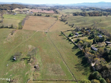 Tbd Springfield Dr, Meadowview, VA 24361 - photo 6