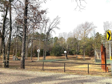 Lot 495, 496 San Saba, Mount Vernon, TX 75457 - photo 6