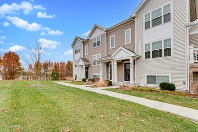 574 Spring Leaf Dr, Joliet, IL 60431 - photo 7