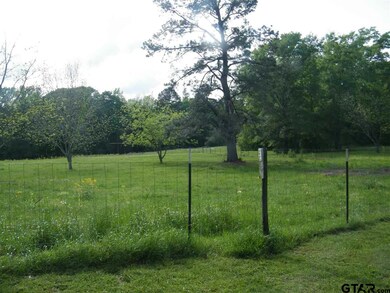 14829 County Road 2215, Tyler, TX 75707 - photo 6