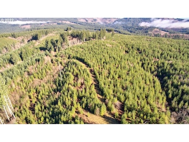 3 NE Jones Creek Rd, Camas, WA 98607 - photo 3