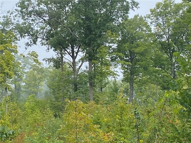 ON N Zettel Rd, Exeland, WI 54835 - photo 6