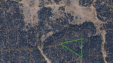 Tbd Cerro Leonides Rd, Ramah, NM 87321 - photo 5