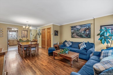 4709 210th St, Bayside, NY 11361 - photo 5