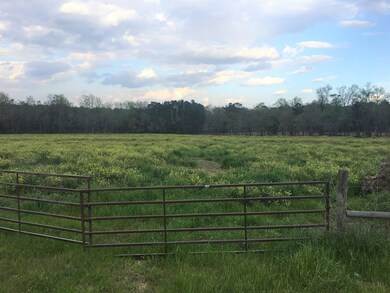 00 Pierce Chapel Rd, Cairo, GA 39828 - photo 2