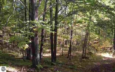 0 Morrison Rd unit 1899385, Alger, MI 48610 - photo 4