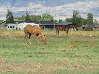 Horse Property