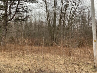 0 N Red Arrow Hwy unit 24007952, Sawyer, MI 49125 - photo 3