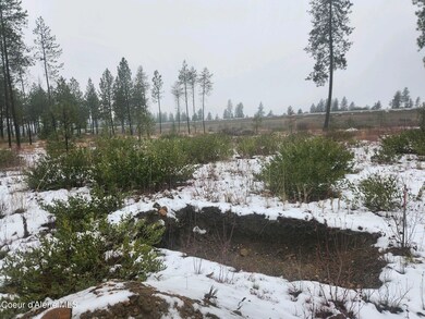 NNA N Sylvan Ln, Athol, ID 83801 - photo 5