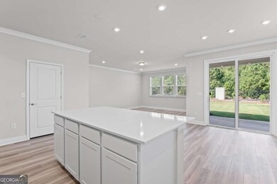 244 Nesta Grove, Locust Grove, GA 30248 - photo 5