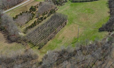 0 Will Hickerson Rd, Tullahoma, TN 37388 - photo 2