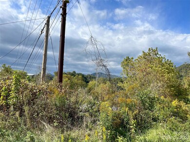 54 Maple Hill Rd, Burnsville, NC 28714 - photo 4