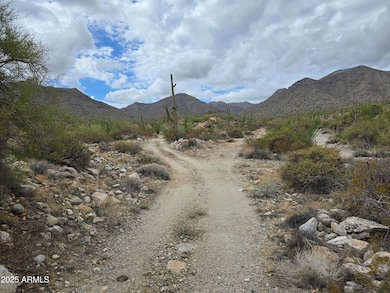 0 Critic Mine -- unit 6925996, Wenden, AZ 85357 - photo 4