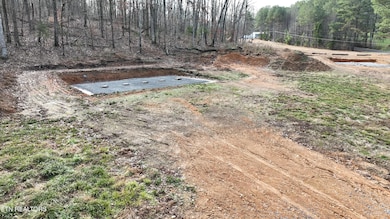 0 Lot 1 County Road 181, Decatur, TN 37322 - photo 6