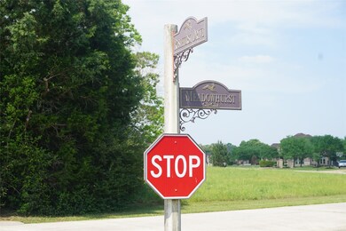 22115 Meadowhurst Cir, Tomball, TX 77377 - photo 4