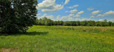 0 Mammoth Grove Rd unit MFRP4935027, Lake Wales, FL 33898 - photo 5