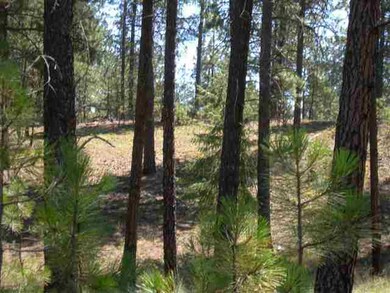 28XX E Golden Rd, Spokane, WA 99208 - photo 5