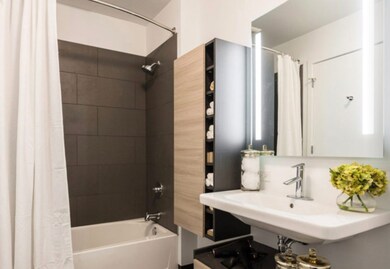 710 W Grand Ave unit 412, Chicago, IL 60654 - photo 4