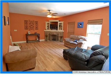 3700 McIngvale Rd, Hernando, MS 38632 - photo 3