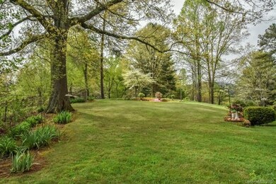 Level back yard