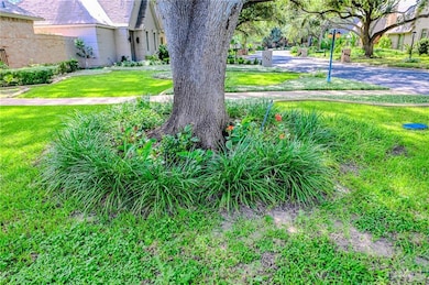 View of grassy yard