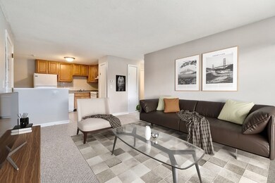 381 Hildreth St unit 305, Lowell, MA 01850 - photo 3