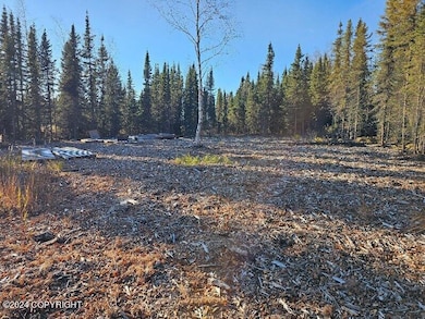 L3 Erlwein Cir, Sterling, AK 99669 - photo 6