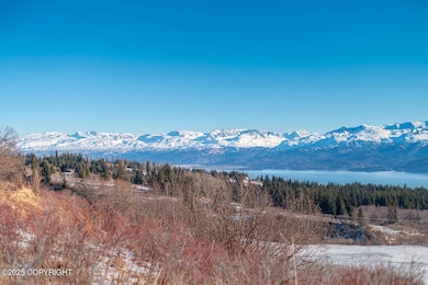 L1 Hutler Rd, Fritz Creek, AK 99603 - photo 7