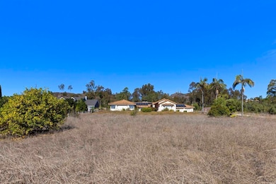 1007 Capra Way, Fallbrook, CA 92028 - photo 6