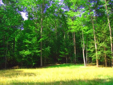 Eastern Common Area