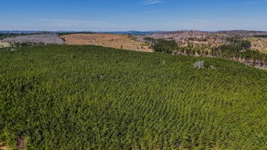 0 John Kay Rd unit 22961024, Taylorsville, GA 30178 - photo 5