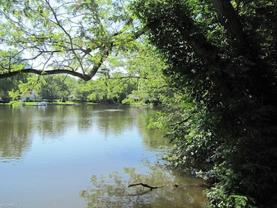 looking from the dock toward the south end of the lake