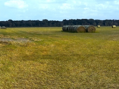 TBD County Road 321, Louise, TX 77455 - photo 3