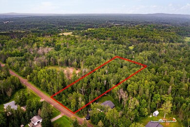 XX Torma Rd, Esko, MN 55733 - photo 4